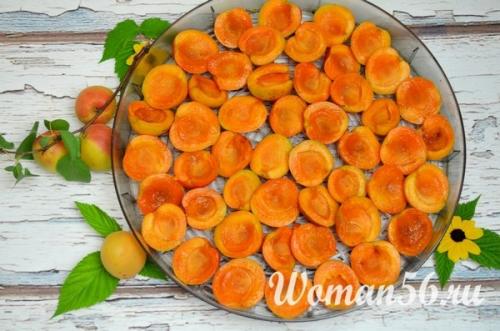 Сушка абрикос в микроволновке. Как сушить абрикосы на курагу в электросушилке. Много фото!