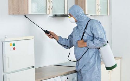 Как избавиться от тараканов навсегда в квартире в домашних условиях: 5 лучших способов +Видео