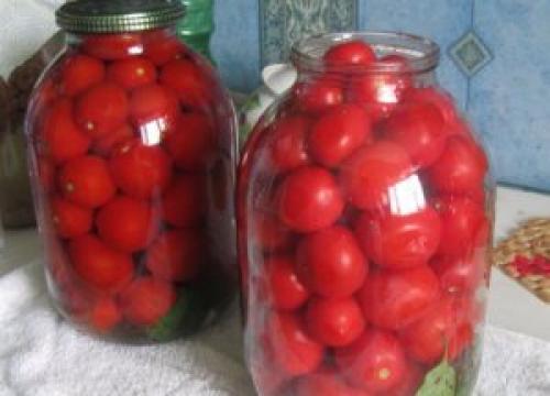 Томат Ляна когда сажать. Особенности сорта Ляна