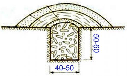 Как хранить морковь в земле. Хранение в грядке, яме