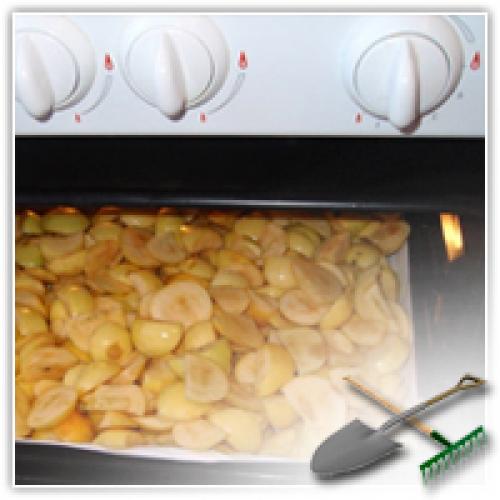 Дикая груша сушка. Сушка груш. Сушим-сушим наши груши…