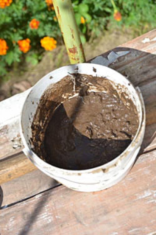 Посадка клубники усами в июле. Посадка усов Пересадку можно осуществлять с середины июля по середину сентября, но чем раньше, тем лучше, т.к. летом идёт закладка почек для будущего урожая. Посадку лучше наметить на вечернее время. Это нетрудное дело, но оно требует аккуратности: