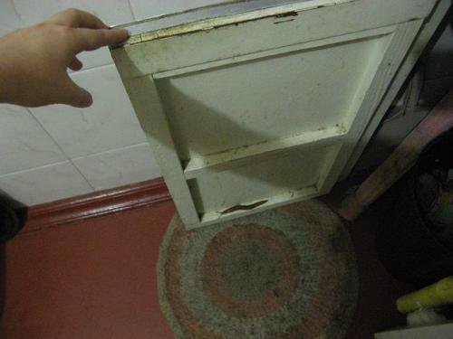 Слизни в доме. Как избавиться от слизней в доме