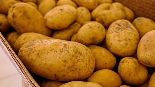 Ящики для хранения картофеля. Мой секрет хранения свежей картошки всю зиму