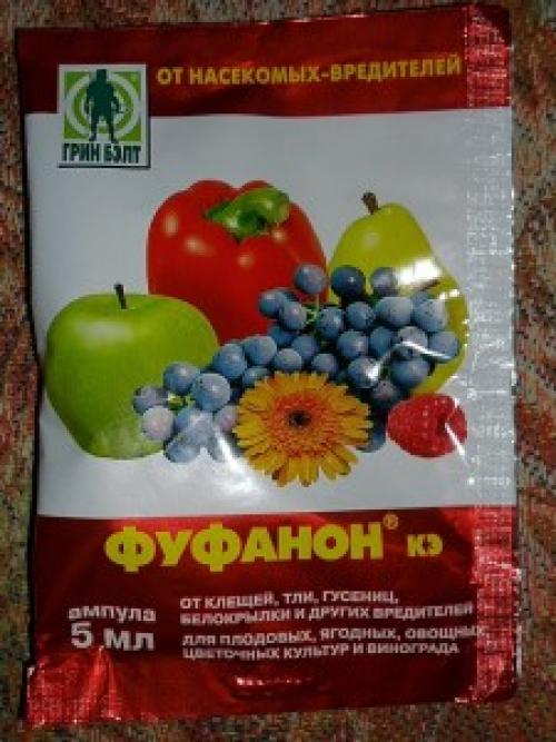 Фуфанон для комнатных растений. Характеристика препарата Фуфанон