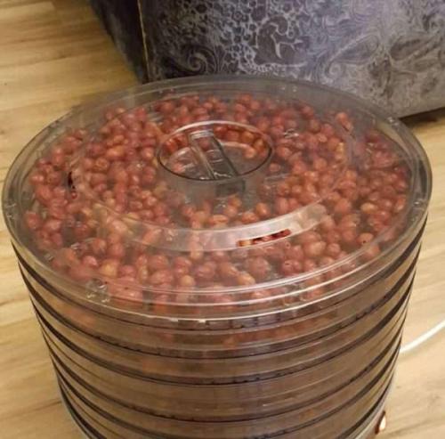 Как сушить лепестки шиповника. Как правильно сушить шиповник в домашних условиях: сушка плодов, листьев и цветов