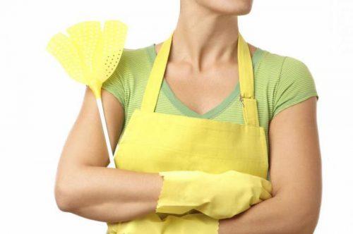 Могут ли тараканы уйти сами. Почему из российских квартир пропали тараканы? Вы удивитесь, узнав причину!