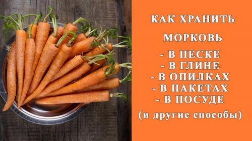Как сохранить морковь в домашних условиях до весны. Лучшие способы, как хранить морковь после сбора урожая до весны