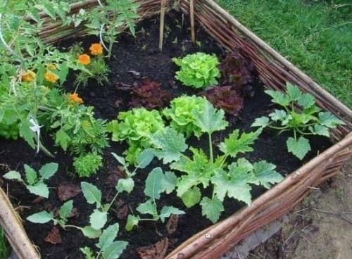 Вариант приподнятой грядки 07