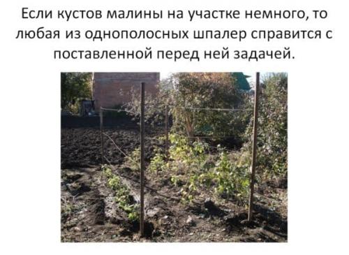 Шпалера для малины из пластиковых труб. Шпалеры для малины своими руками: пошаговая инструкция, как сделать красивое ограждение