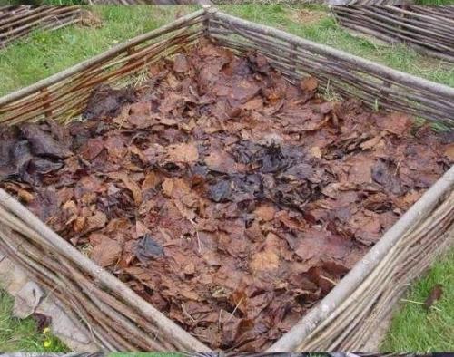 Вариант приподнятой грядки 03