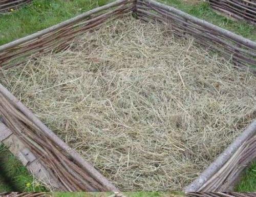 Вариант приподнятой грядки 05