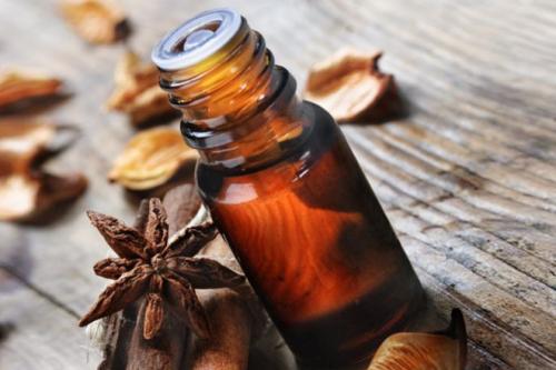 Чего боятся тараканы народные средства. Чего боятся тараканы — то и нужно применять в первую очередь