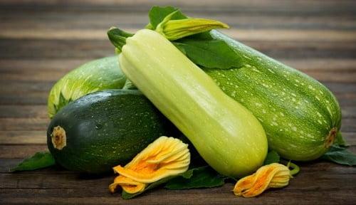 Кабачки зимой. Как дольше сохранить свежими кабачки зимой в домашних условиях