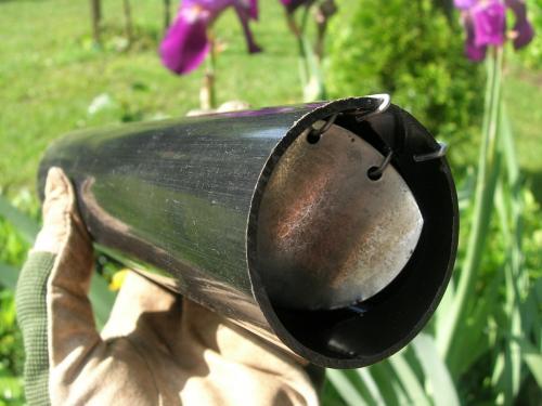 Землеройка, как бороться. Как мне удалось избавиться от землероек на огороде