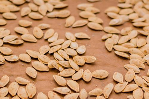 Сушка тыквенной семечки. Как высушить тыквенные семечки в домашних условиях