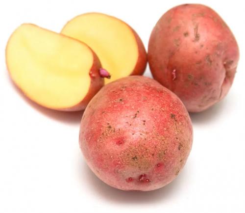 Картофель Розара. Сорт картофеля Розара – характеристика и описание, отзывы огородников
