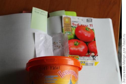 Томат БИФ Кинг F1. Начало положено