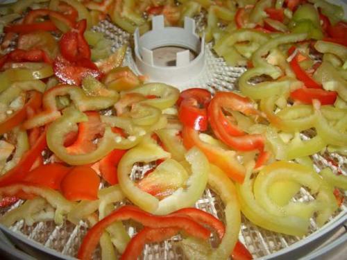 Сушить перец болгарский на зиму. Как сушить болгарский перец на зиму в домашних условиях — все секреты сушки перца