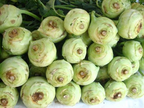 Кольраби на зиму. Рецепты приготовления кольраби на зиму. Заготовки из кольраби