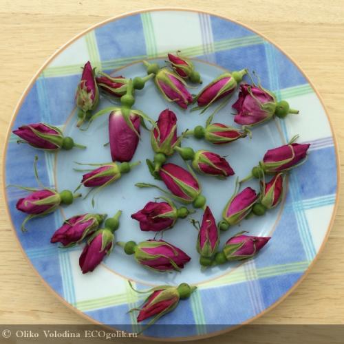 Сушка шиповника в духовке с конвекцией. Подготовка и сушка шиповника в духовке 05