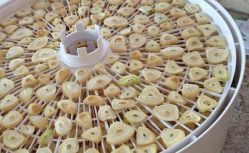 Как сушить чеснок. Сушеный чеснок — делаем преправу на зиму