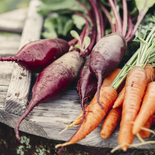 Норма свеклы в день. 11 причин есть свеклу каждый день