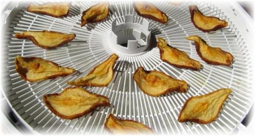 Сушить груши в духовке. Как сушить груши в домашних условиях, в духовке 05 Сушить груши в духовке. Как сушить груши в домашних условиях, в духовке 05