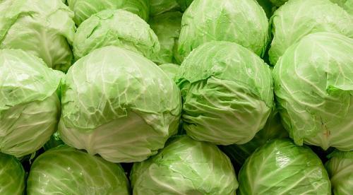 Как хранить зимой капусту в подвале. Как сохранить капусту на зиму в погребе 05 Как хранить зимой капусту в подвале. Как сохранить капусту на зиму в погребе 05