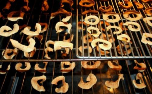 Сушка яблок в домашних условиях и и хранение. Как правильно высушить: основные требования