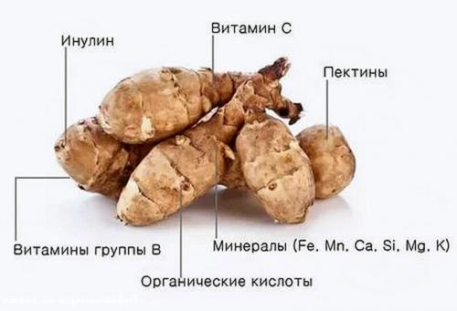 Топинамбур в таблетках. Топинамбур: лечебные свойства и противопоказания