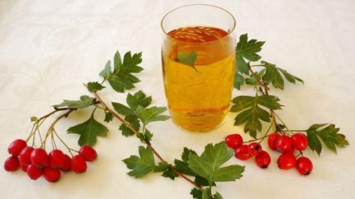 Боярышник польза. Боярышник: польза и вред, отзывы