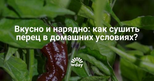 Как сушить острый перец в микроволновке. Соус чили