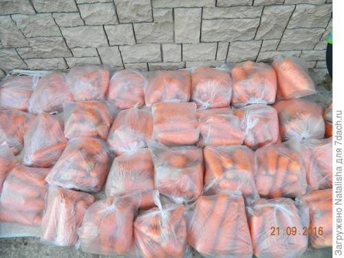 Как сохранить морковь на зиму в домашних условиях. 100%-й способ зимнего хранения моркови