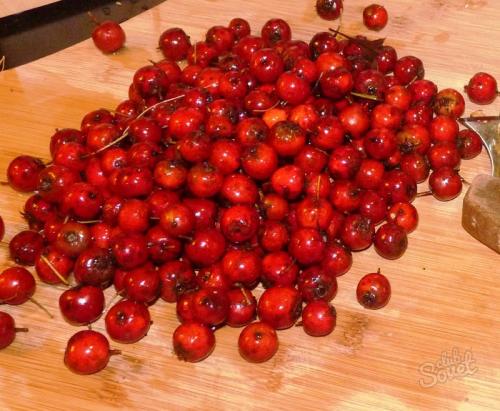 Как сушить плоды боярышника. Как сушить ягоды боярышника в элеткросушилке — пошаговая инструкция с фото 04