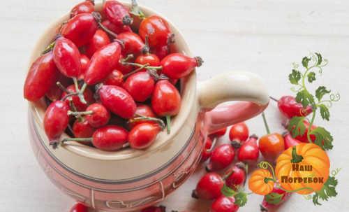 Как хранить Шиповник на зиму. Замораживаем Шиповник на весь год