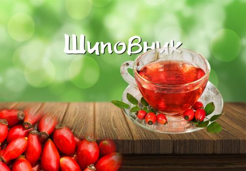 Обработка шиповника. Учимся заваривать Шиповник правильно!