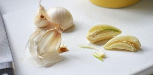 Муравьи в доме зимой. 30 домашних средств для уничтожения муравьев в квартире и на участке