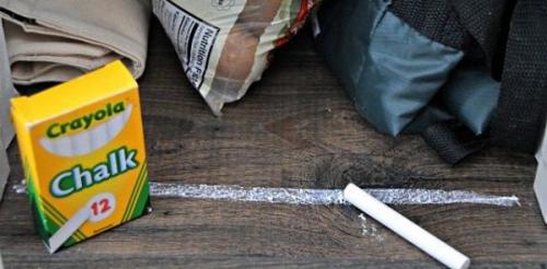 Муравьи в доме зимой. 30 домашних средств для уничтожения муравьев в квартире и на участке