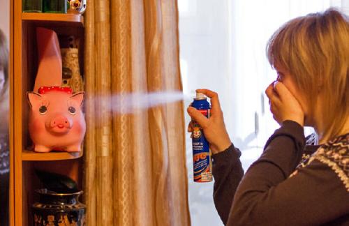 Яйца тараканов, как уничтожить. Откуда в квартире появляются тараканы?