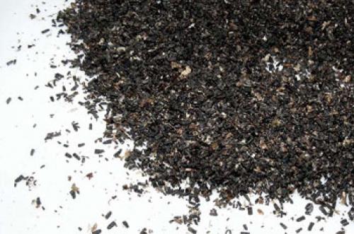 Настойка моли восковой применение. Лечение, косметика, спорт 03