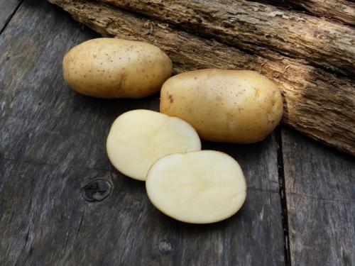 Картофель невский вкусовые качества. Описание сорта
