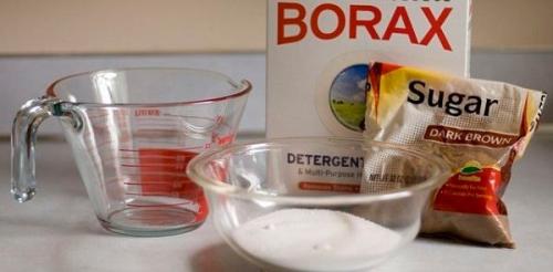 Муравьи в доме зимой. 30 домашних средств для уничтожения муравьев в квартире и на участке