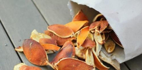 Муравьи в доме зимой. 30 домашних средств для уничтожения муравьев в квартире и на участке