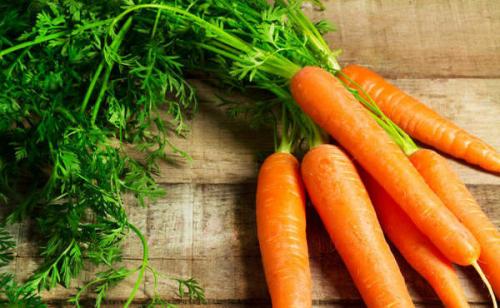 Как обрезать морковь для хранения. Зачем обрезать ботву у моркови и когда это делать