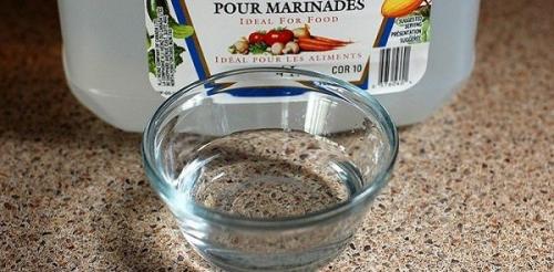 Муравьи в доме зимой. 30 домашних средств для уничтожения муравьев в квартире и на участке