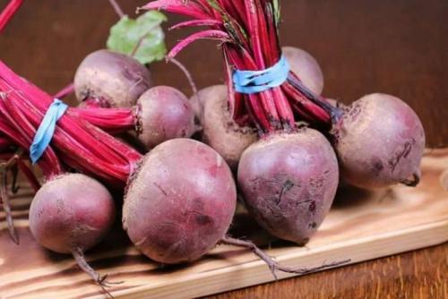 Как хранить свеклу в погребе. Как правильно хранить свеклу в погребе зимой?