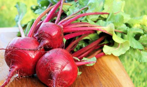 Уборка на зиму свеклы. Что делать после уборки урожая свеклы: подготовка к хранению  02