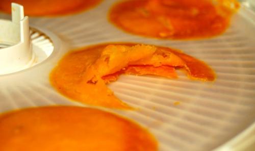 Как хранить пюре из тыквы. Как хранить тыквенное пюре — два способа