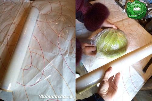 Как хранить капусту в пищевой пленке. Личный опыт хранения капусты в пищевой пленке